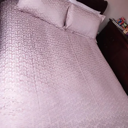 Ensuite Bedroom With Private Toilet And Shower And Unlimited Wifi 招待所